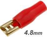 (imagem para) Terminal fêmea dourado isolado vermelho 4.8mm