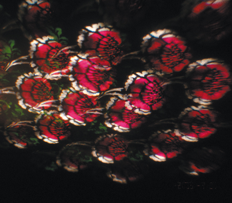 Uma imagem genérica